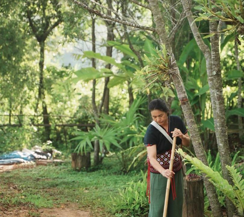 Photo of Others in Mae Wang