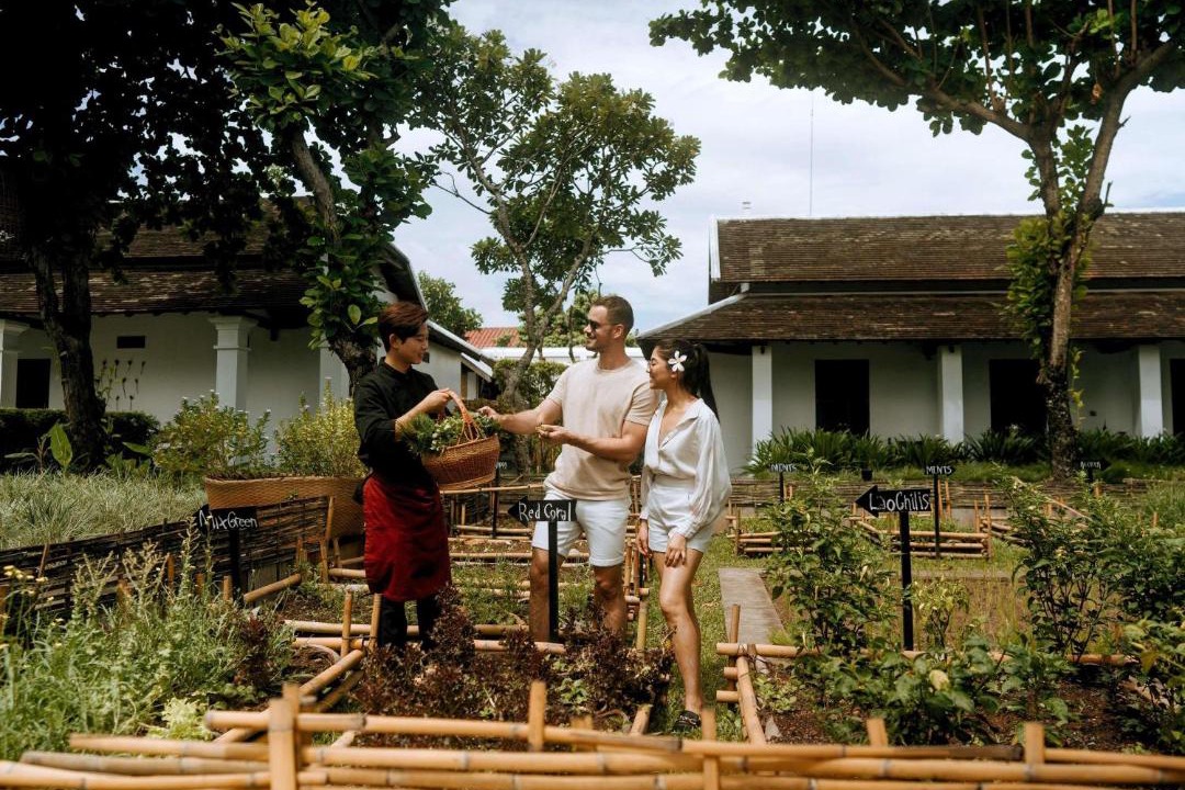 Photo of Others in Luang Prabang