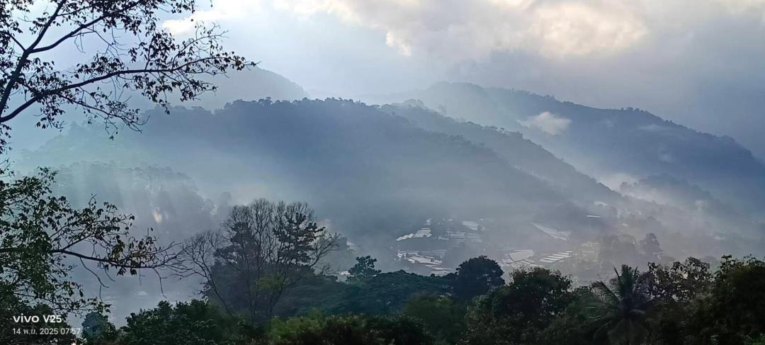 Photo of Others in Pong Yaeng