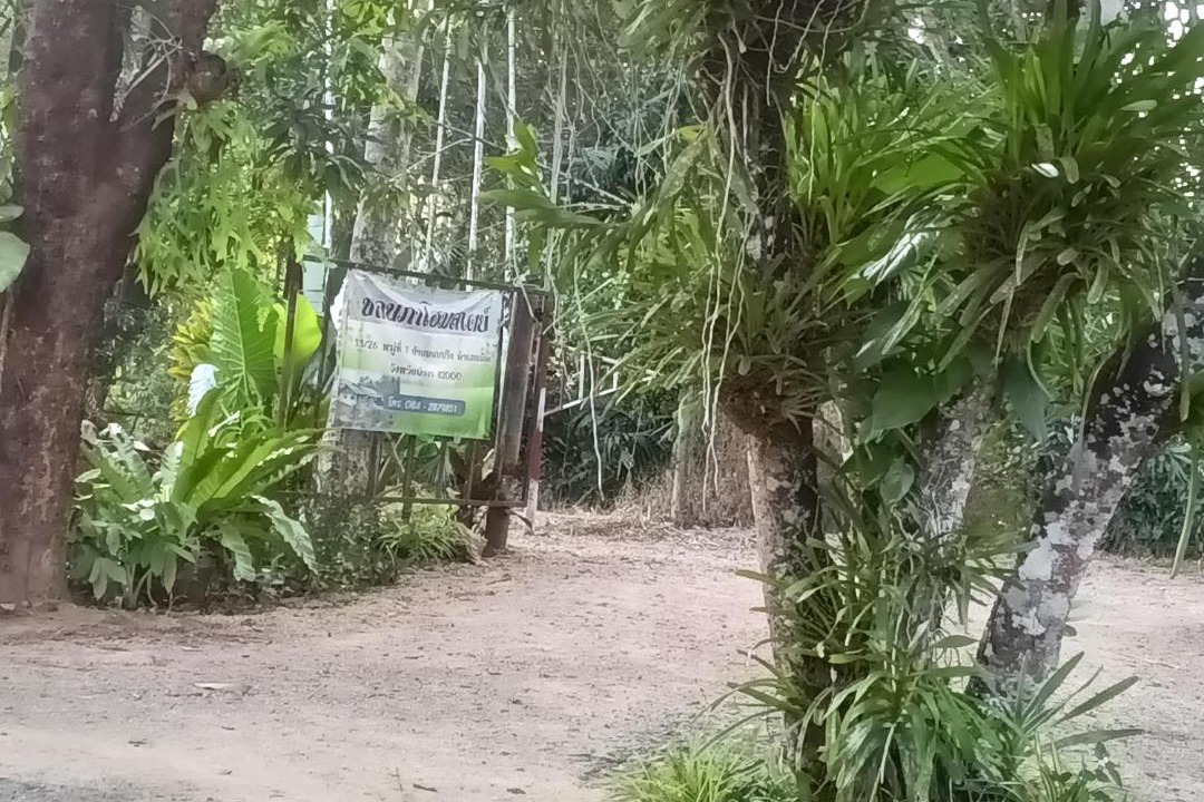 Photo of Others in Thung Kha Ngok