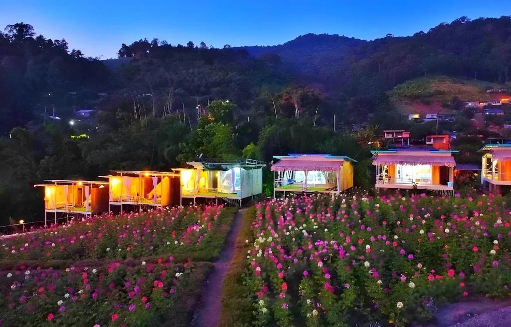 Photo of Others in Mae Taeng