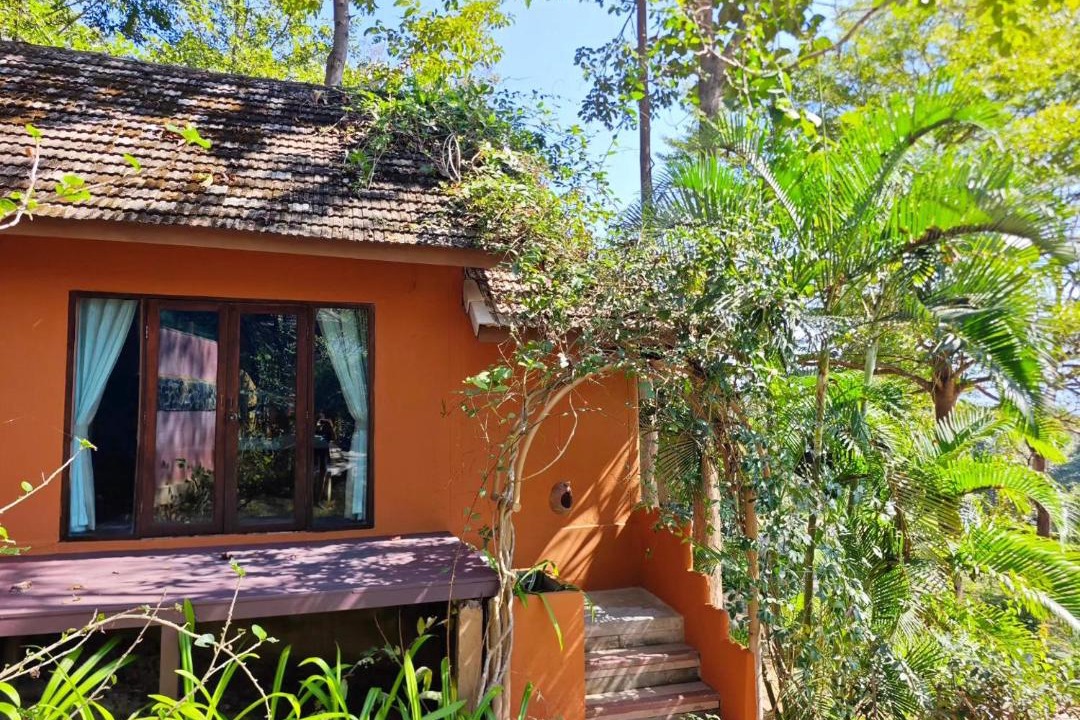 Photo of Others in Pai