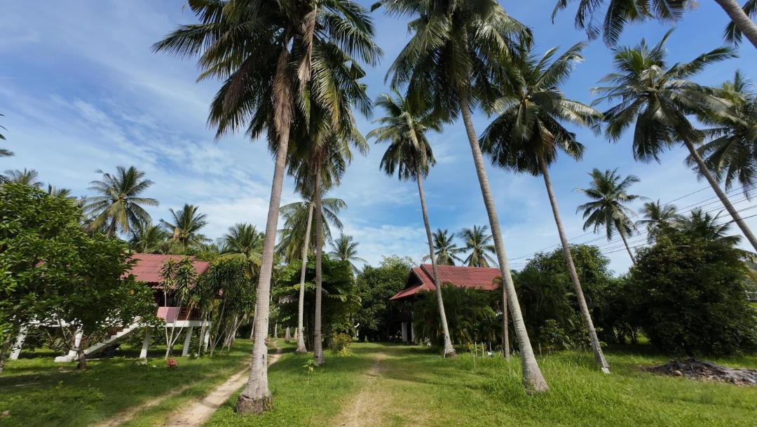 Photo of Others in Ko Pha-ngan