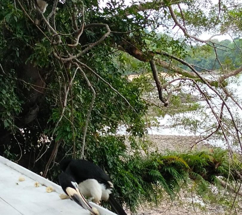 Photo of Others in Ranong