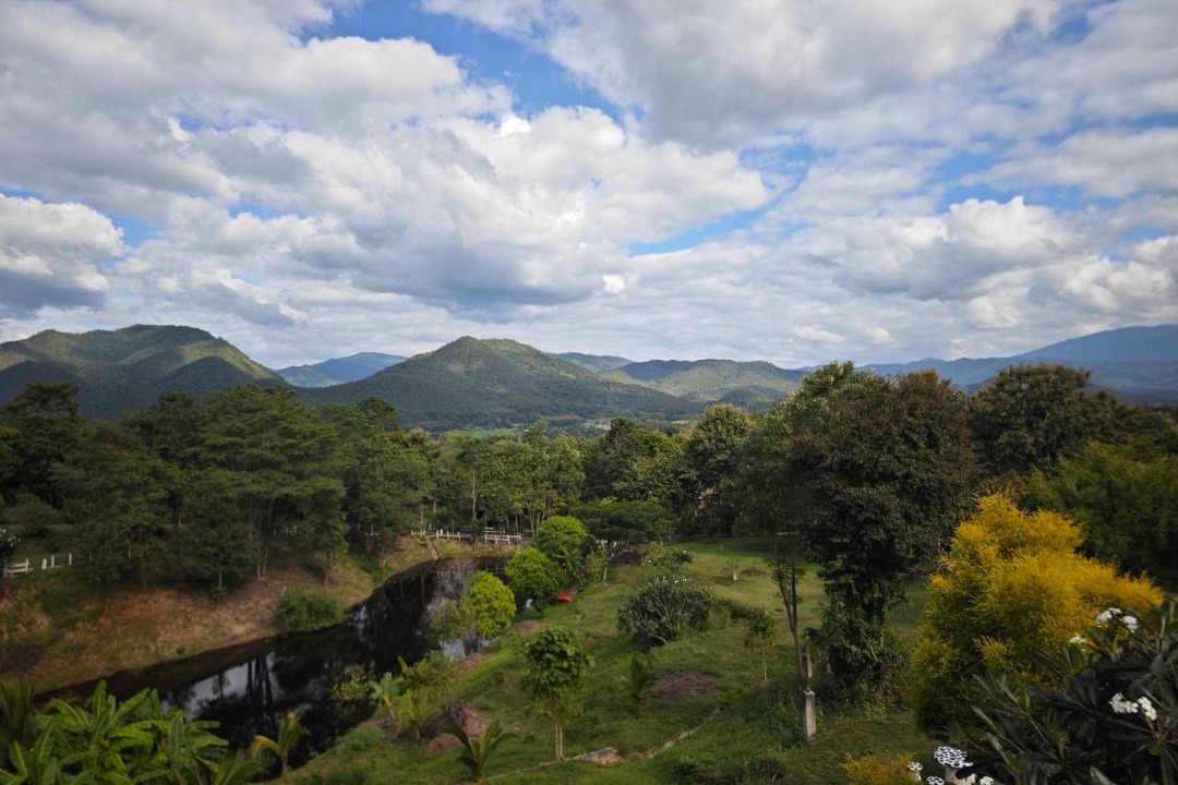Photo of Others in Pai