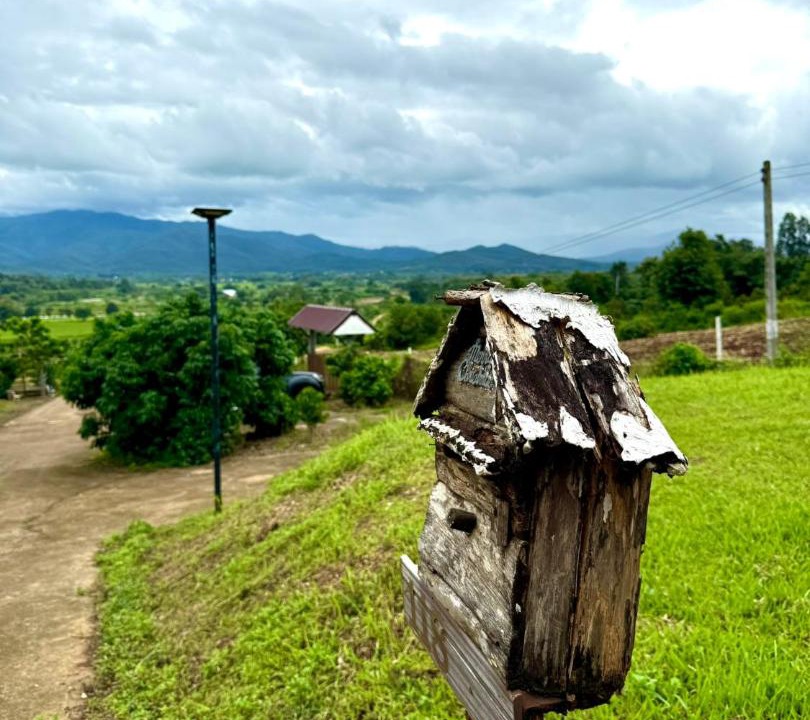 Photo of Others in Ban Pao