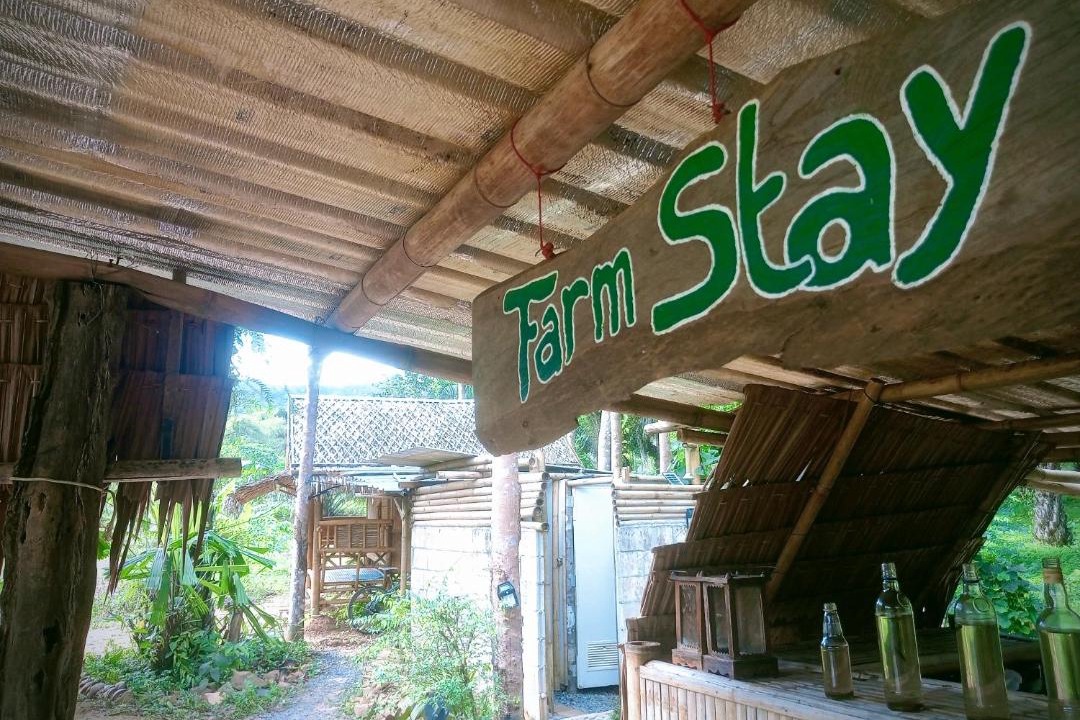 Photo of Others in Khlong Sok