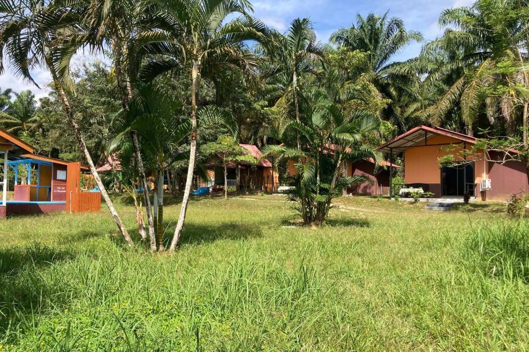 Photo of Others in Khlong Sok