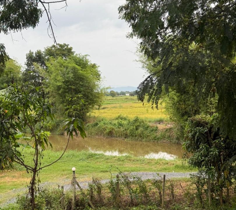 Photo of Others in Nakhon Nayok