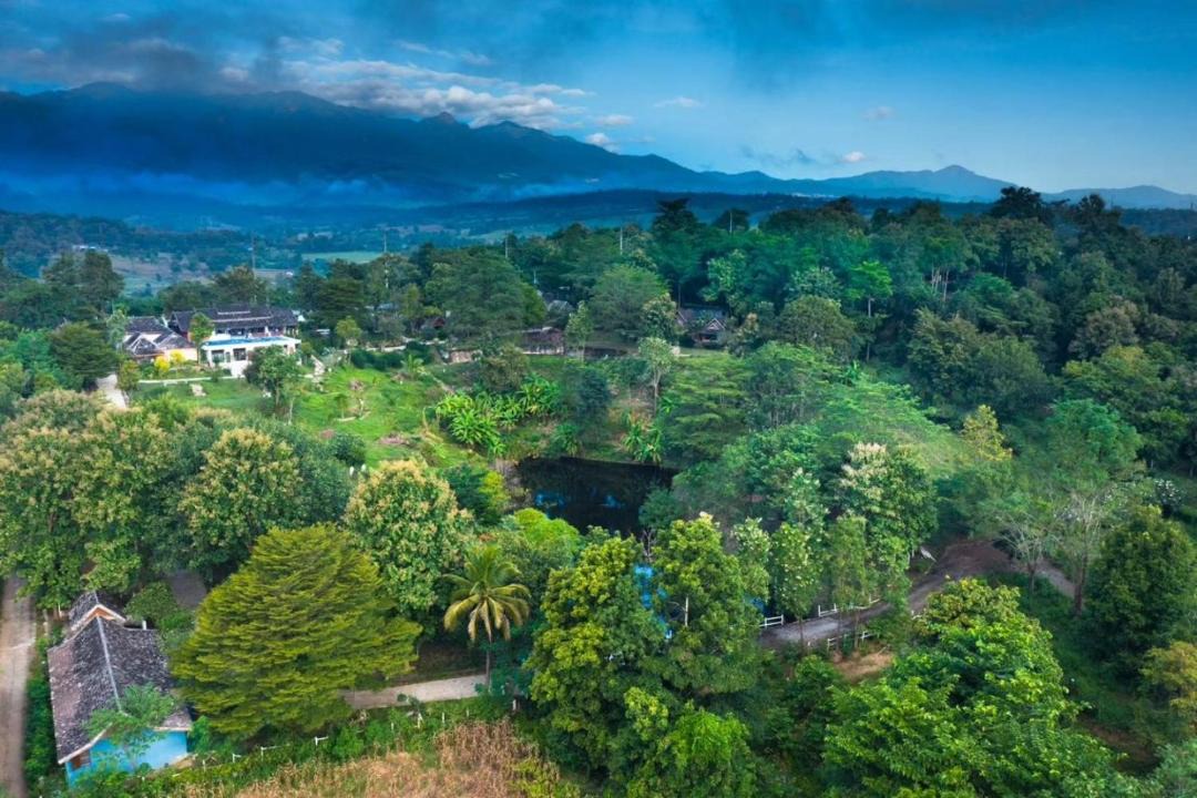 Photo of Others in Pai