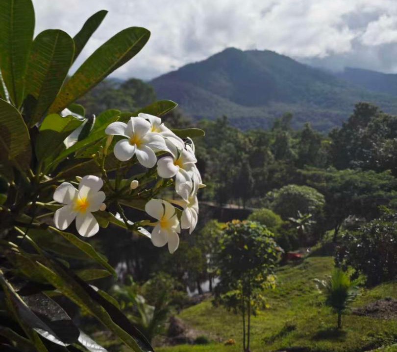 Photo of Others in Pai
