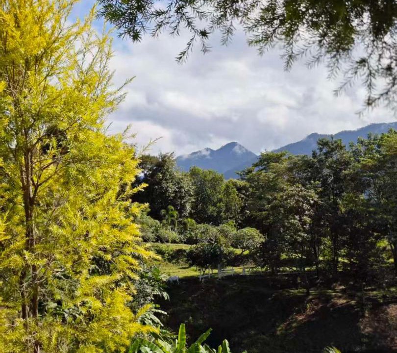 Photo of Others in Pai