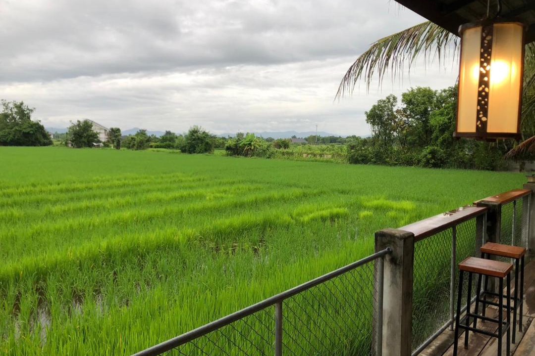 Photo of Others in San Pu Loei