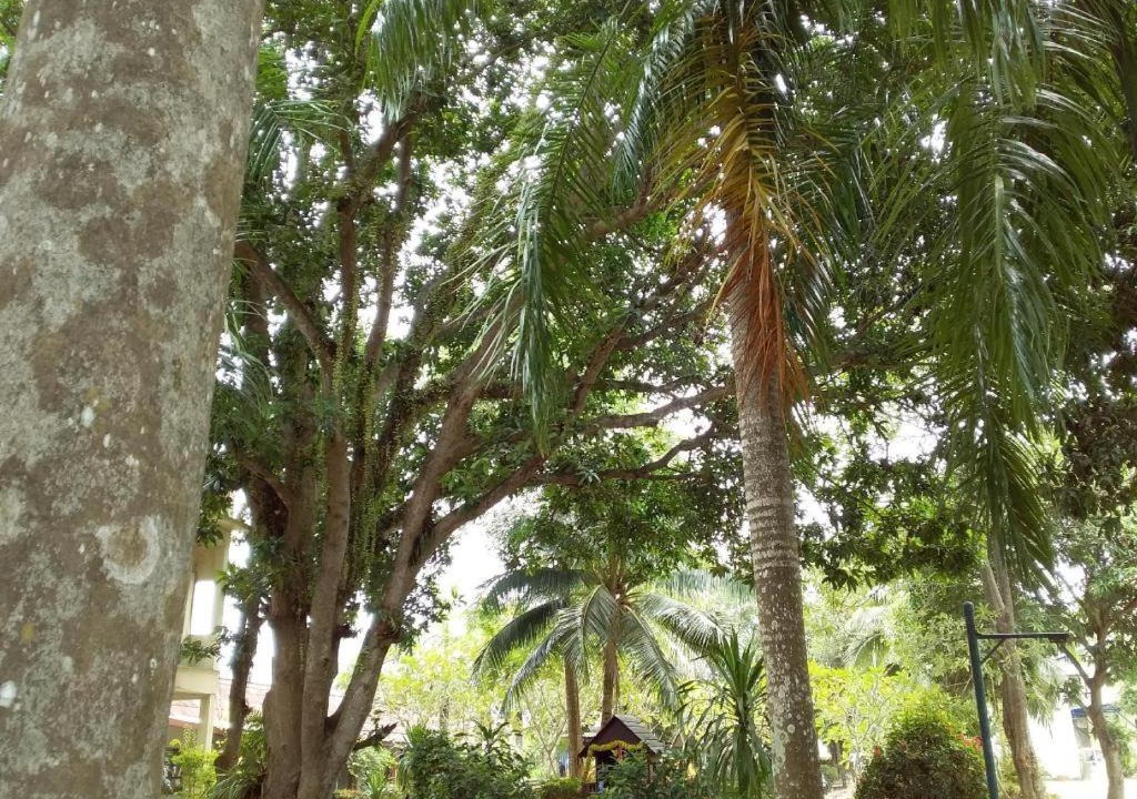 Photo of Outdoor in Na Thon