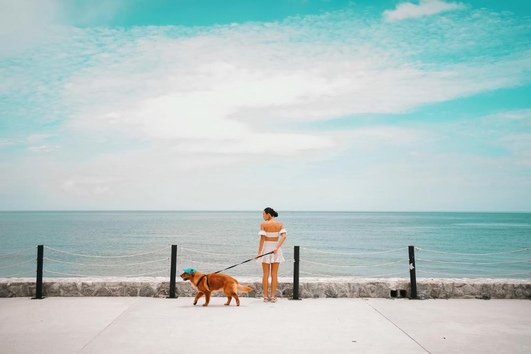 Photo of Others in Hua Hin