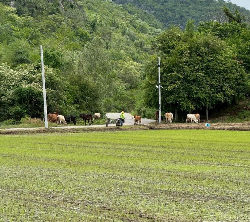 Photo of Others in Kanchanaburi