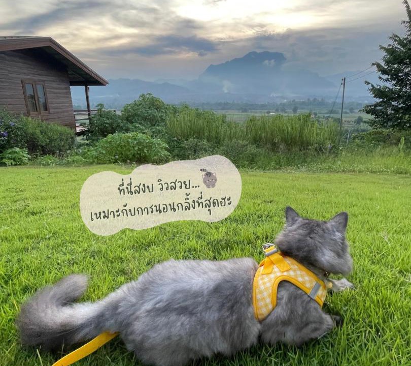 Photo of Others in Chiang Dao