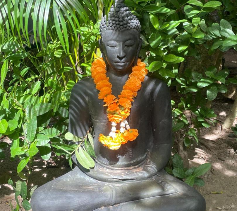 Photo of Others in Bophut Hills