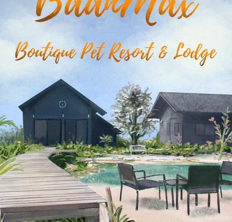 Photo of Others in Ban Du