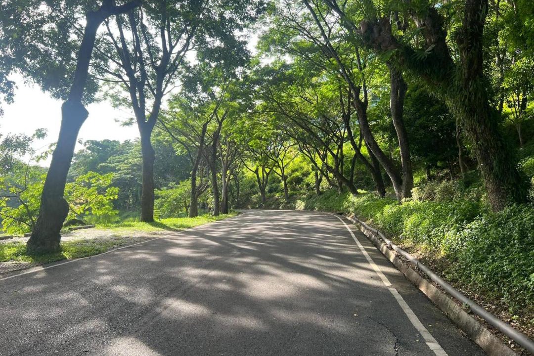 Photo of Others in Pong Ta Long