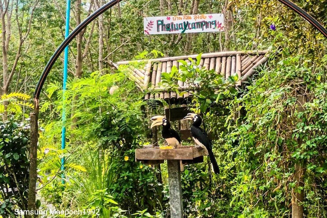 Photo of Others in Ang Thong