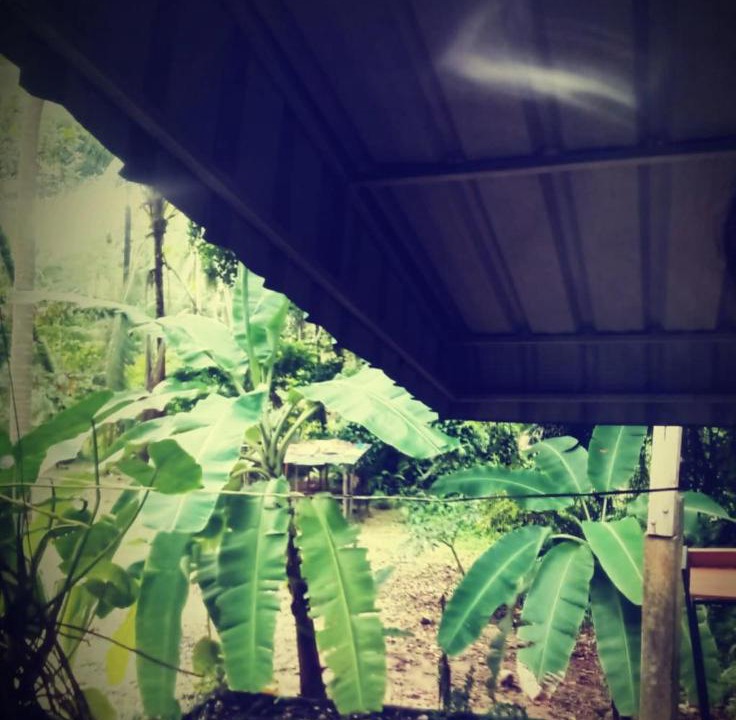 Photo of Others in Baan Tai