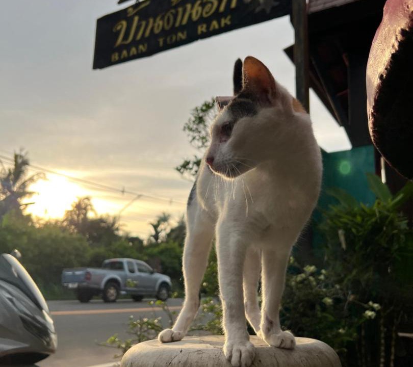 Photo of Others in Ko Chang