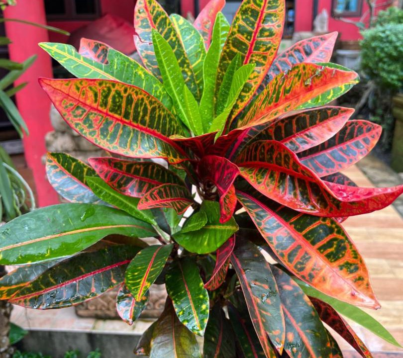 Photo of Outdoor in Ko Chang