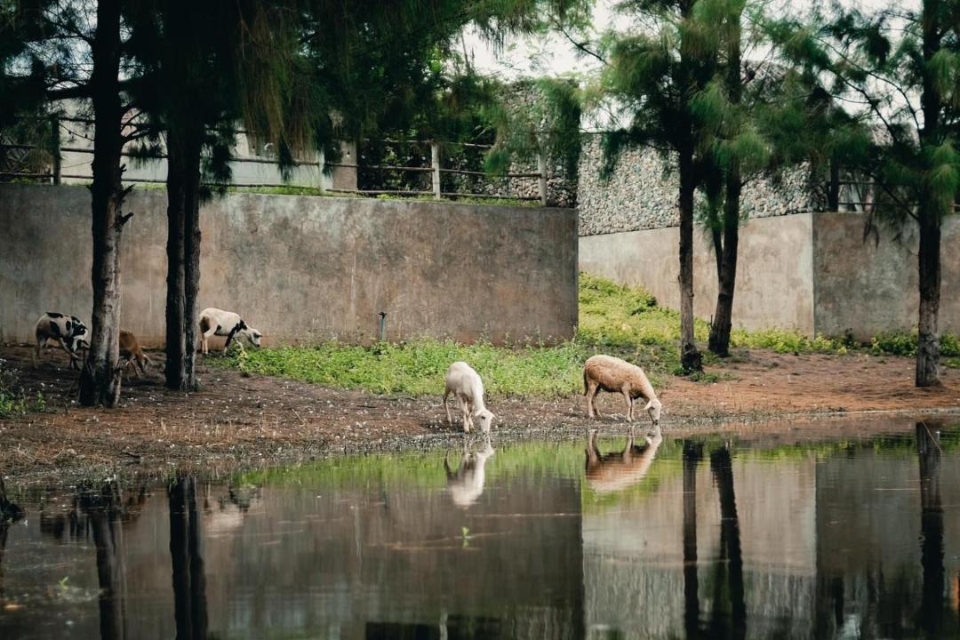 Photo of Others in Chiang Dao