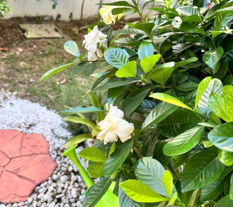 Photo of Outdoor in Ban Mut Dok Khao