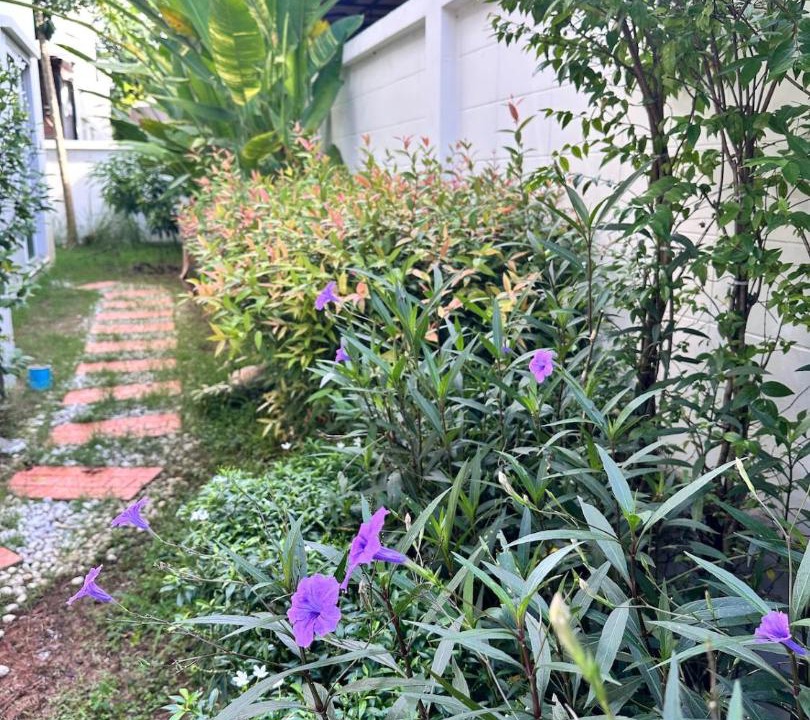 Photo of Outdoor in Ban Mut Dok Khao
