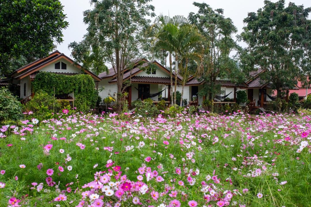 Photo of Others in Pai