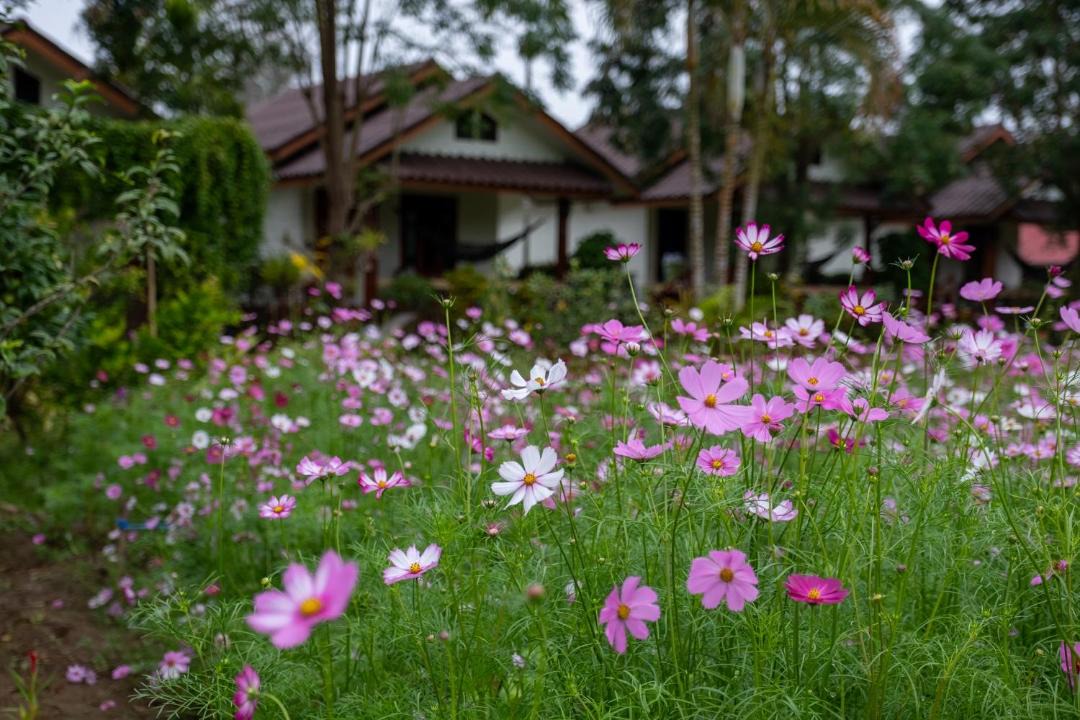 Photo of Others in Pai