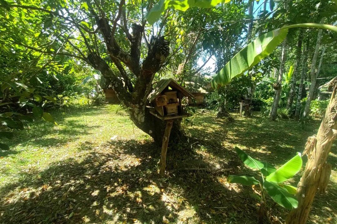 Photo of Others in Koh Chang Tai