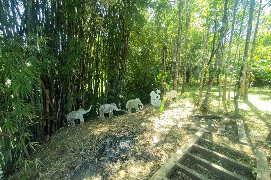 Photo of Others in Koh Chang Tai