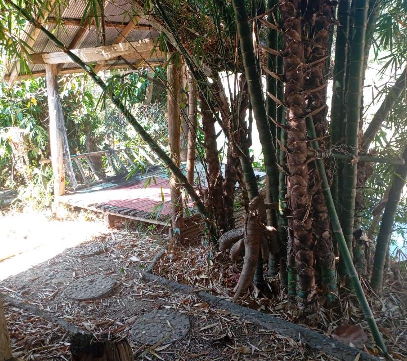 Photo of Others in Pai