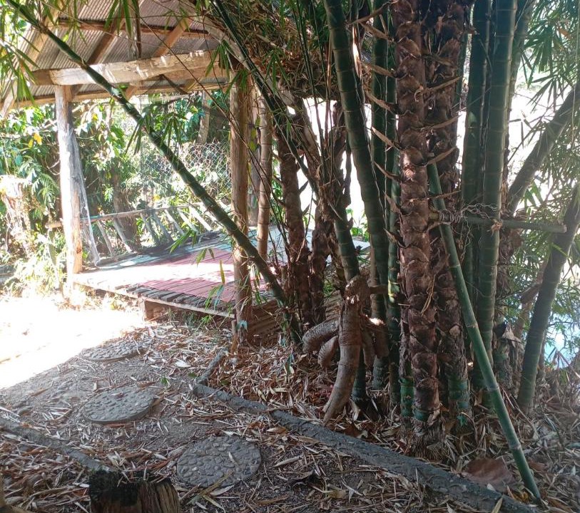 Photo of Others in Pai