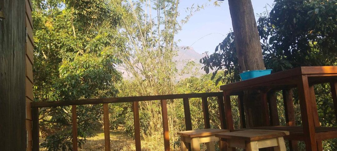 Photo of Others in Chiang Dao