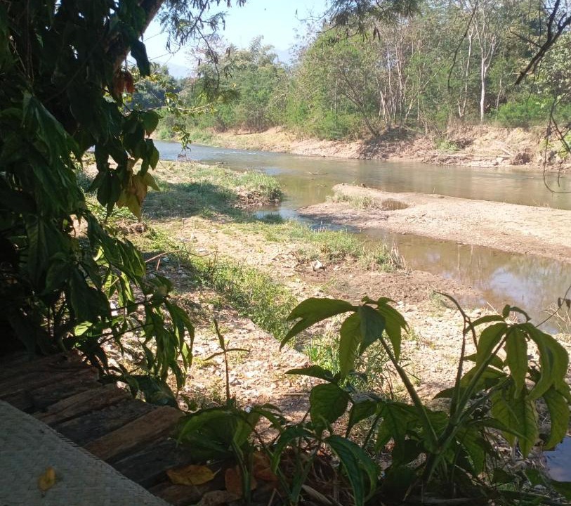 Photo of Others in Pai