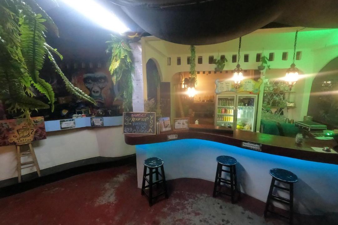 Photo of Others in Koh Tao