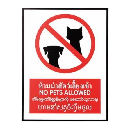 Photo of Others in Ko Kood