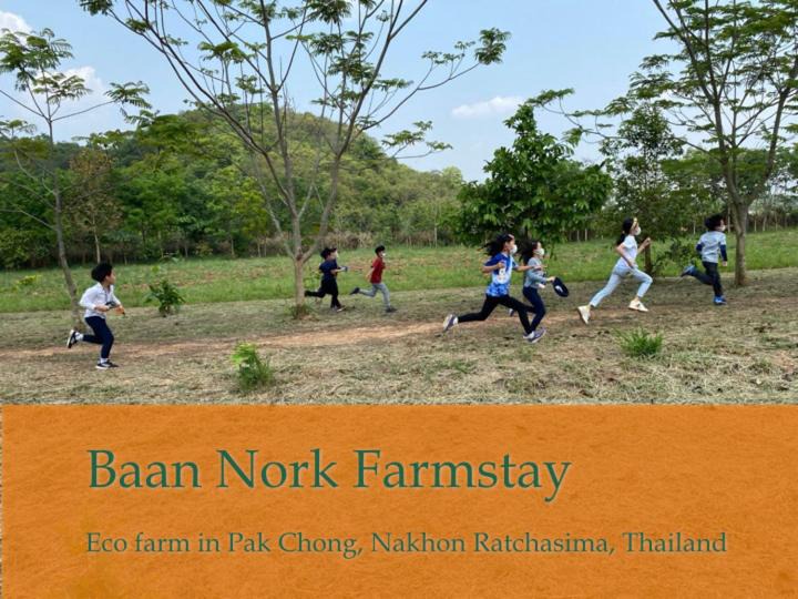 Photo of Others in Nong Nam Daeng