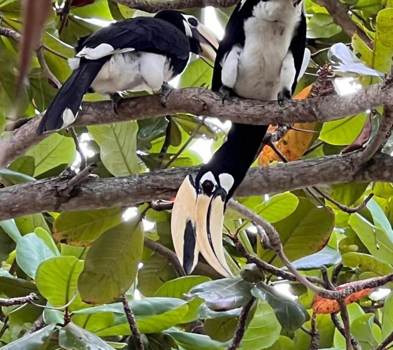 Photo of Others in Ko Phaluai