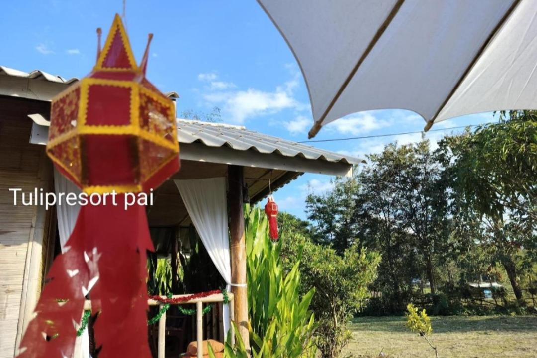 Photo of Others in Pai