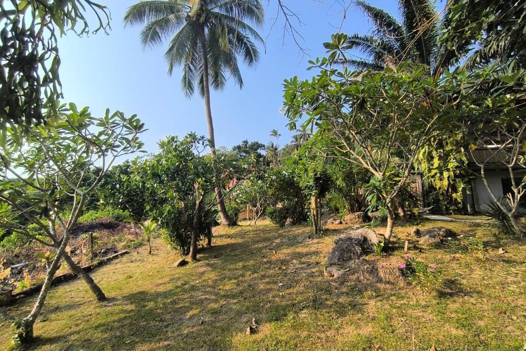 Photo of Others in Koh Tao