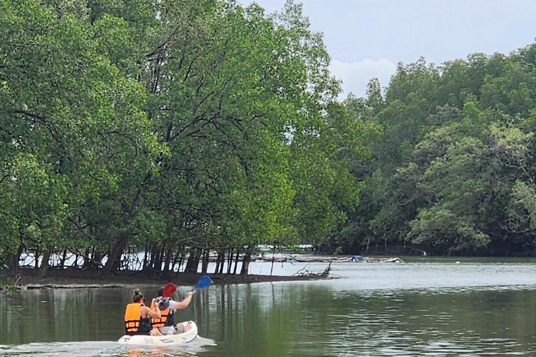 Photo of Others in Phangnga