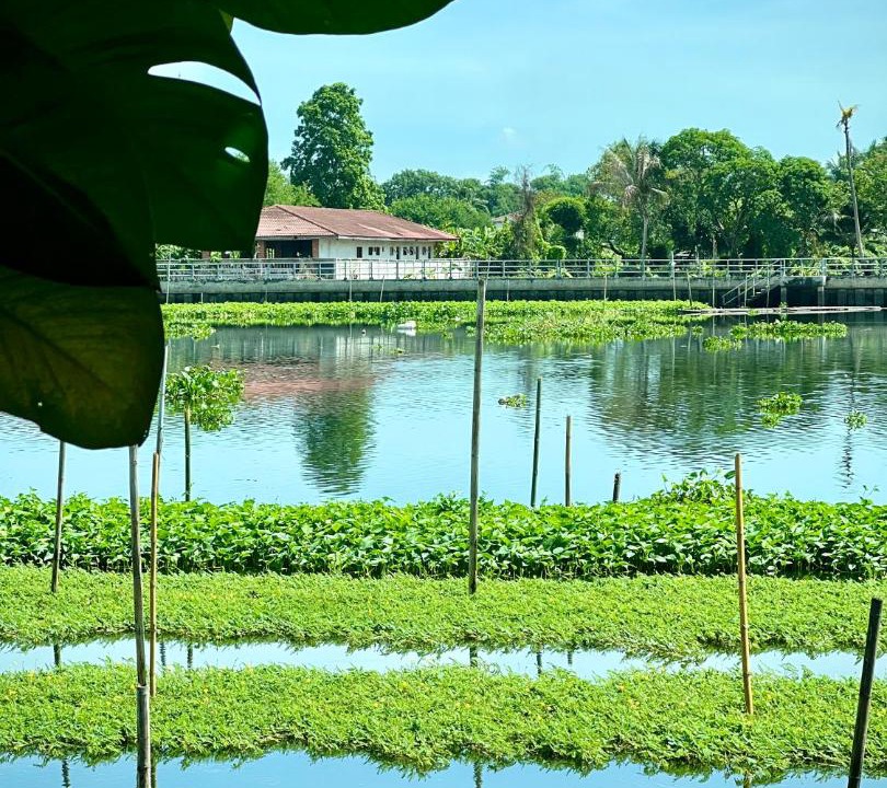 Photo of Others in Sam Phran