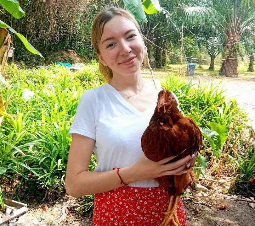 Photo of Others in Ko Yao
