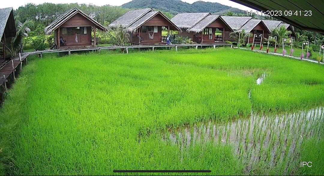 Photo of Others in Ko Yao