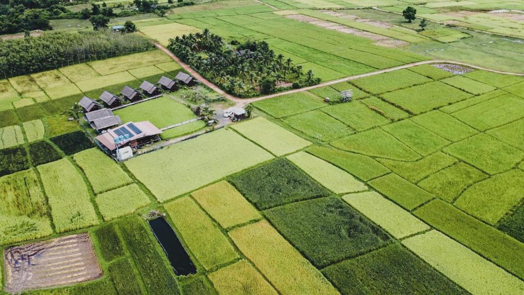 Photo of Others in Ko Yao